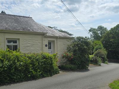Picture 18
